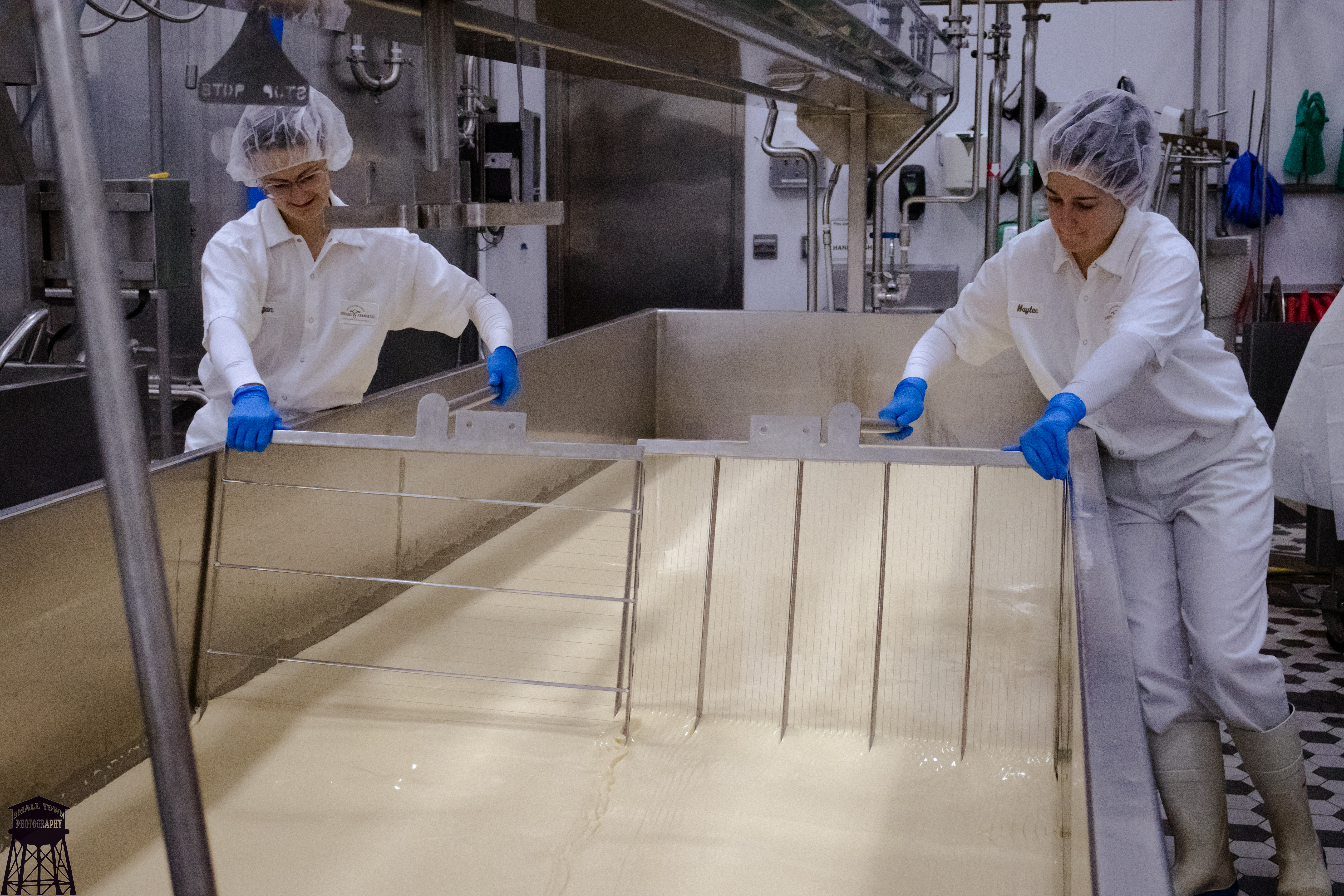 Cutting Cheese with Harps
