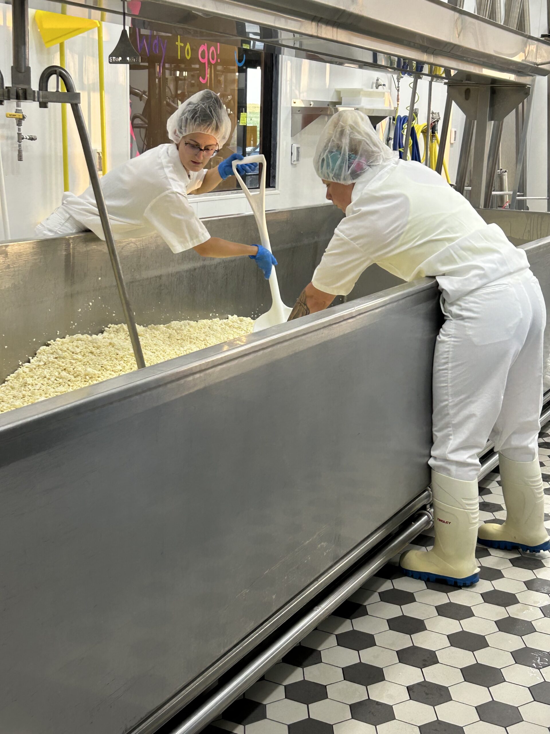 cheese plant team